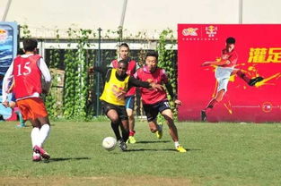 RD战队COA8双阵营出色，二比零完胜夺冠