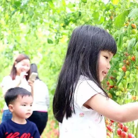 街头篮球春游大放送 永久赠品彩绘惊喜 街头篮球春游大放送 永久赠品彩绘惊喜