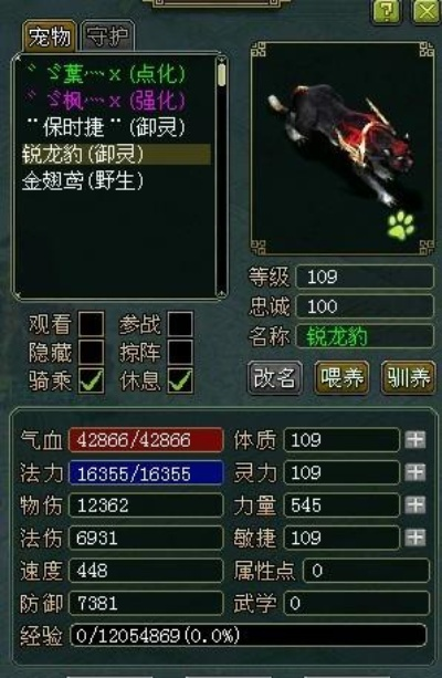 《问道》1.79版5阶御灵幻形鉴变绝版锐龙豹 《问道》1.79版5阶御灵幻形鉴变绝版锐龙豹