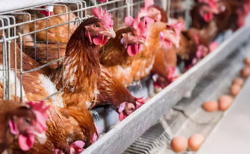 半条命Alyx树脂搜集与谜题解答攻略 半条命Alyx树脂搜集与谜题解答攻略