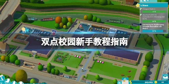 双点校园攻略：高效玩法揭秘