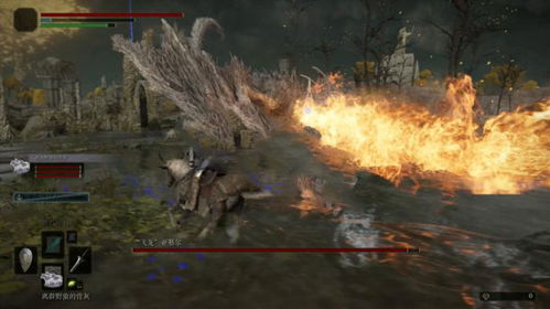 《艾尔登法环》飞龙亚基尔攻略：高效击杀技巧