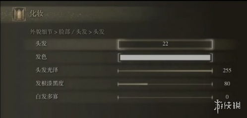 艾尔登法环银发美女捏脸教程 艾尔登法环银发美女捏脸教程