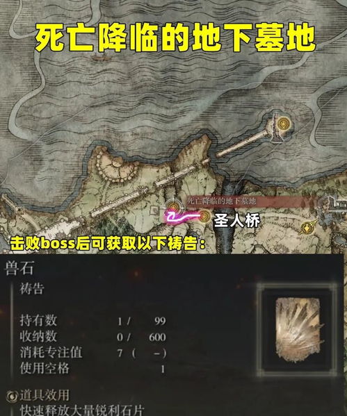 艾尔登法环东北部野兽神殿深度探险 艾尔登法环东北部野兽神殿深度探险