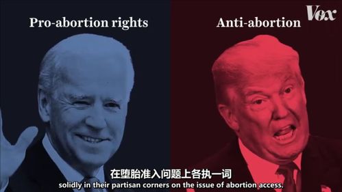 《秘影曼德拉》混沌后期BD分享:揭秘混沌后期核心语义构建 《秘影曼德拉》混沌后期BD分享:揭秘混沌后期核心语义构建