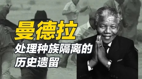 《秘影曼德拉》前期攻略：高效游玩核心技巧