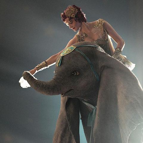 《苏丹游戏》全结局达成条件一览