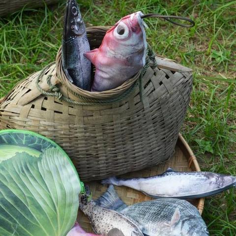 崩溃大陆2电光平原泡水盒子位置揭秘，一日鱼获盒子藏匿地