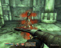 上古卷轴4重置版120G容量，网友：标准配置