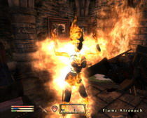 上古卷轴4重置版120G容量，网友：标准配置