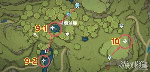 原神月莲高效采集路线推荐 月莲核心获取攻略 原神月莲高效采集路线推荐 月莲核心获取攻略