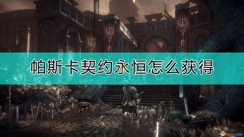 《帕斯卡契约终极版》新手攻略:按键操作与基础玩法揭秘 《帕斯卡契约终极版》新手攻略:按键操作与基础玩法揭秘