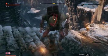 《只狼全BOSS精英怪无伤攻略汇总》