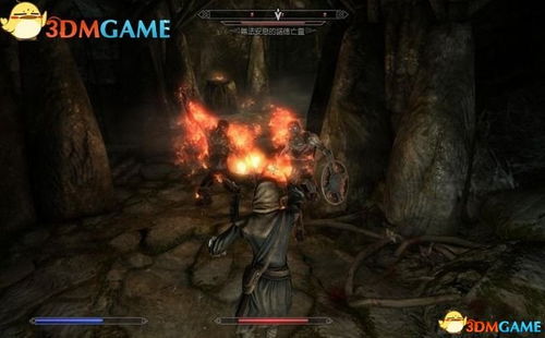 上古卷轴4重制版魔法骑士流派攻略 上古卷轴4重制版魔法骑士流派攻略