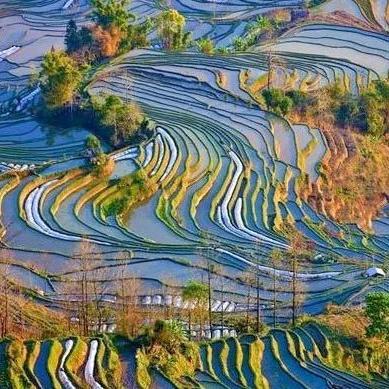 光与影33号远征队春意原野全收集攻略