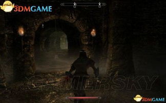 《上古卷轴4重制版》快速入门攻略