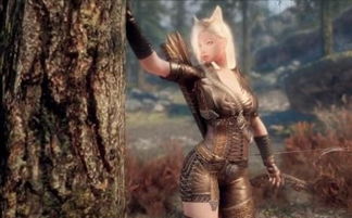 上古卷轴4重制版布莱顿男性角色捏脸教程