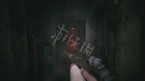 生化危机8路易莎家位置攻略