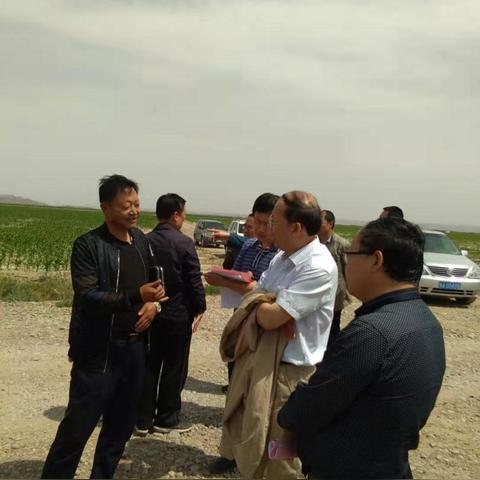 《怪物猎人崛起》新手开荒必备技巧 《怪物猎人崛起》新手开荒必备技巧