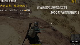 《绝地求生》单排高分段攻略：高效吃鸡技巧解析