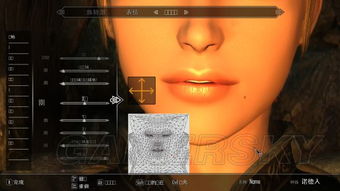 《上古卷轴5》ECE顶点编辑技巧，日系风格捏脸教程