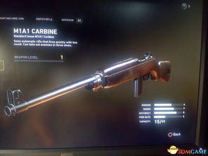 使命召唤14Beta武器评测：全面性能解析