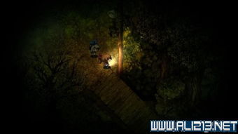 深夜廻全章节攻略视频 深夜廻全章节攻略视频