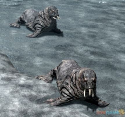 上古卷轴5动物图鉴：野生动物详尽原型解析