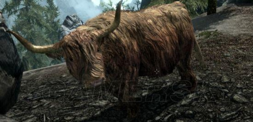 上古卷轴5动物图鉴：野生动物详尽原型解析