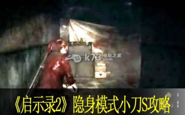 生化危机启示录2全S评价攻略:隐形模式小刀速通视频 生化危机启示录2全S评价攻略:隐形模式小刀速通视频