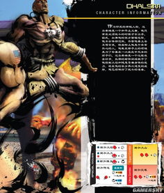 《街头霸王4》25位角色招式详解攻略 《街头霸王4》25位角色招式详解攻略