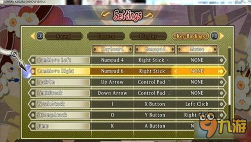 《闪亮先锋》PC版揭秘：女性向游戏新纪元，探索未知领域！