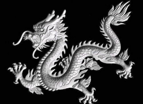 《中国龙与动物世界》
《探索神秘:中国龙与动物奥秘》
《龙腾动物界:中国龙特色解析》
《动物大观园:中国龙领衔》
《奇趣动物群:中国龙领衔展》
《龙行天下:动物世界大揭秘》
《中国龙与动物王国探秘》
《动物世界奇观:中国龙领衔》
《龙舞动物界:中国龙特色展示》
《动物世界奇观:中国龙领衔览》 《中国龙与动物世界》
《探索神秘:中国龙与动物奥秘》
《龙腾动物界:中国龙特色解析》
《动物大观园:中国龙领衔》
《奇趣动物群:中国龙领衔展》
《龙行天下:动物世界大揭秘》
《中国龙与动物王国探秘》
《动物世界奇观:中国龙领衔》
《龙舞动物界:中国龙特色展示》
《动物世界奇观:中国龙领衔览》