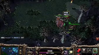 DotA6.51近卫英雄深度解析