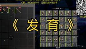 《揭秘!光与影33号远征队独门秘技:重菱刺获取攻略》 《揭秘!光与影33号远征队独门秘技:重菱刺获取攻略》