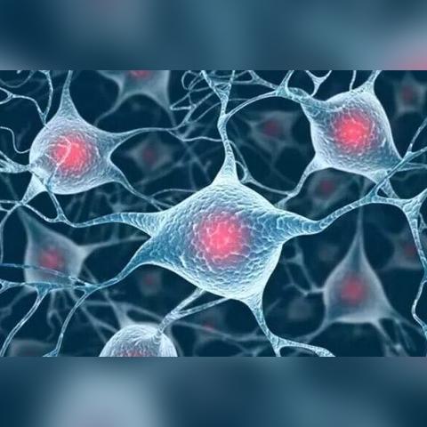 《死亡细胞》武器秘籍大揭秘：伤害解析，谁才是战场霸主？