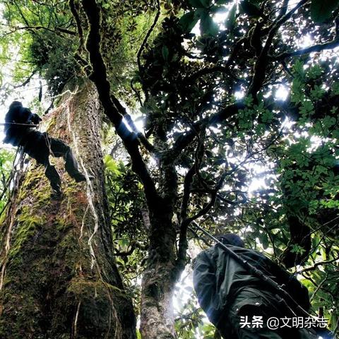 《怪物猎人XX》全解锁秘境任务揭秘!点击解锁隐藏挑战 《怪物猎人XX》全解锁秘境任务揭秘!点击解锁隐藏挑战