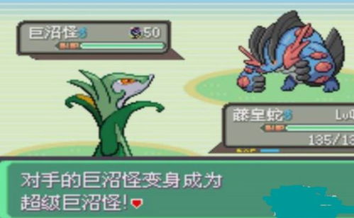 《口袋妖怪日月GTS攻略:揭秘GTS全攻略秘籍!》 《口袋妖怪日月GTS攻略:揭秘GTS全攻略秘籍!》