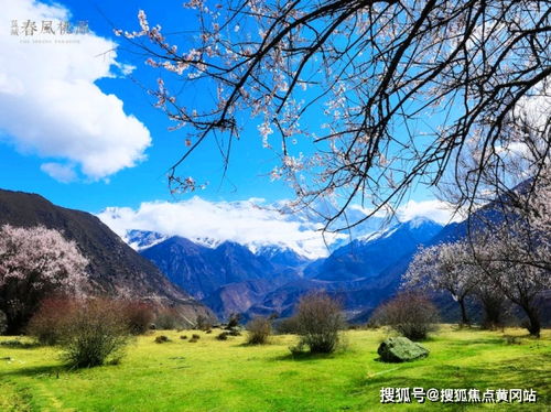 《《冻结状态》生存攻略揭秘:揭秘生存技巧,解锁生存秘籍!》 《《冻结状态》生存攻略揭秘:揭秘生存技巧,解锁生存秘籍!》