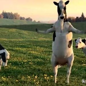 《上古卷轴5》元素奥秘揭秘:独家攻略,解锁元素之力! 《上古卷轴5》元素奥秘揭秘:独家攻略,解锁元素之力!