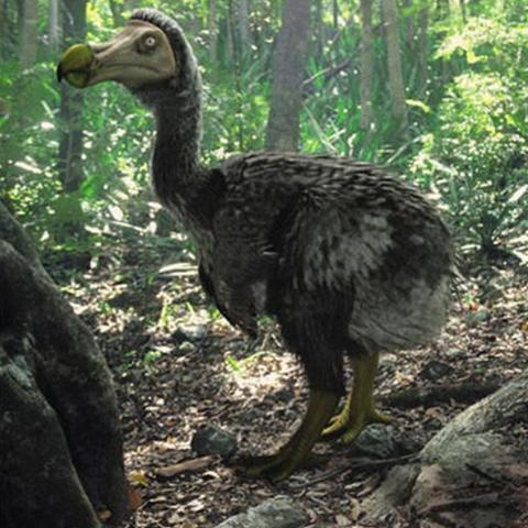 《暴风雨海战试玩揭秘:体验极致航海快感,究竟有多好玩?》 《暴风雨海战试玩揭秘:体验极致航海快感,究竟有多好玩?》