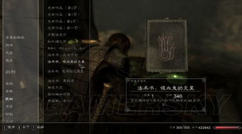 《上古卷轴5》武器护甲宝物宠物全解析,独家图鉴大揭秘! 《上古卷轴5》武器护甲宝物宠物全解析,独家图鉴大揭秘!