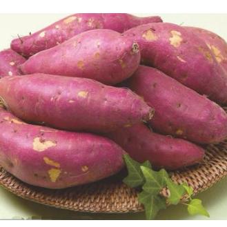 《暗黑魂3武器全解析：满级属性揭秘+变质属性大曝光》