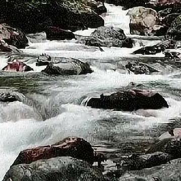 《百慕大谜团揭秘!《死在百慕大》攻略全解析》 《百慕大谜团揭秘!《死在百慕大》攻略全解析》