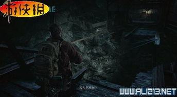 《生化启示录2攻略揭秘：隐藏技巧大公开！》