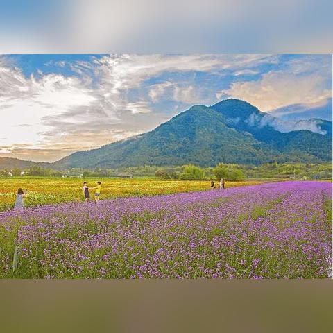 《仙剑奇侠传6》攻略揭秘：独家流程图文，解锁隐藏秘境！