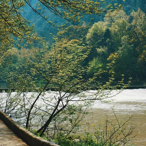 《仙剑奇侠传6》攻略揭秘：独家流程图文，解锁隐藏秘境！