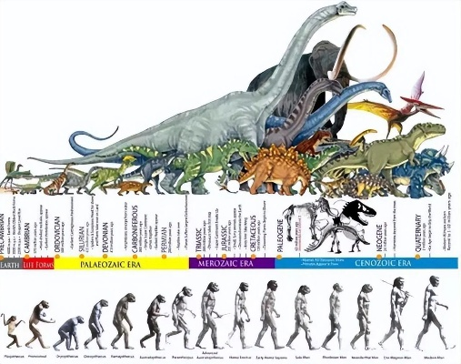 《揭秘方舟进化：恐龙成长数据大揭秘！》