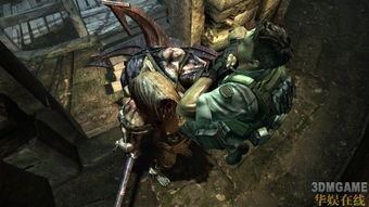 生化危机5黄金版DLC攻略：揭秘迷失噩梦与绝望逃亡惊险流程！