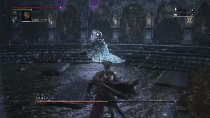 血源女王奖杯速达秘籍！揭秘雅南苏美鲁成就攻略